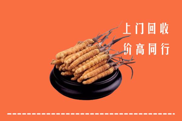 高价求购：远安县回收散虫草