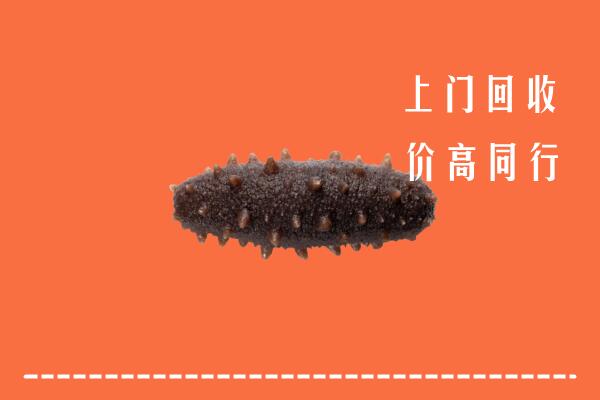 高价求购：远安县回收海参